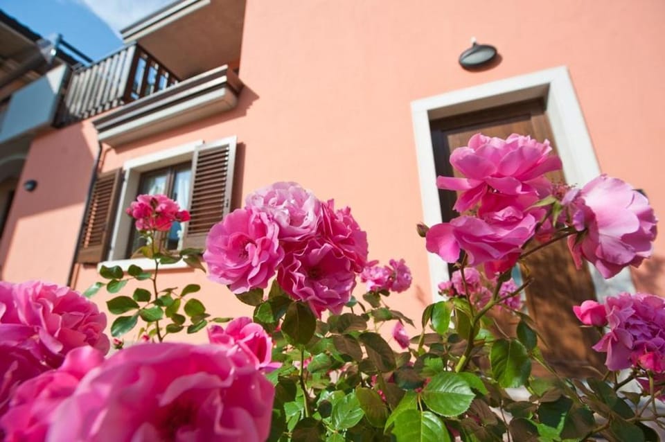 Facade/entrance, Garden view