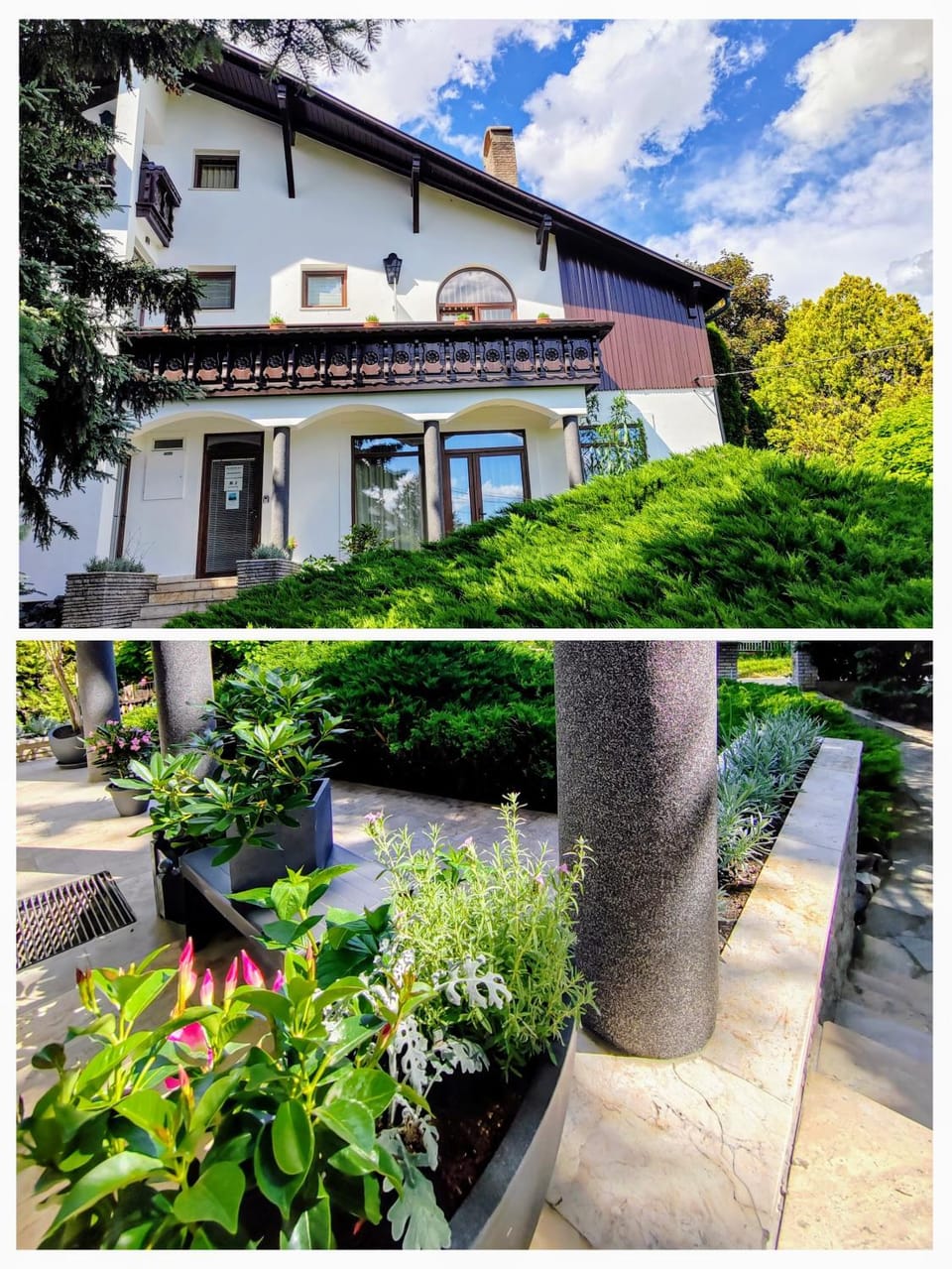 Property building, Garden, Garden view