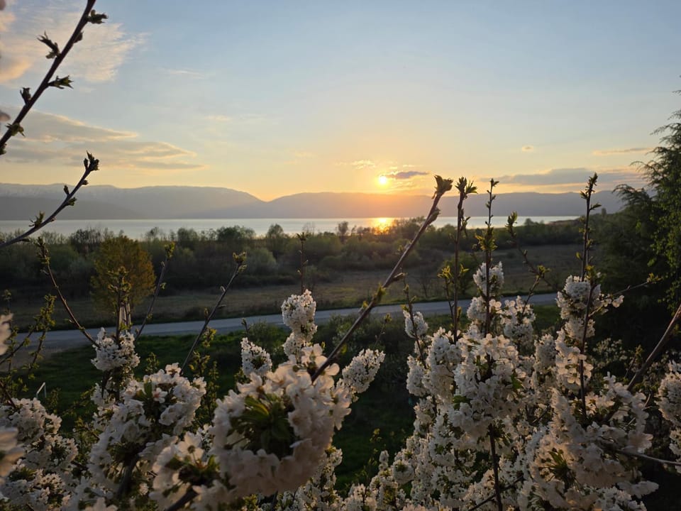 Villa Altiparmak Bed and Breakfast in Municipality of Bitola, North Macedonia