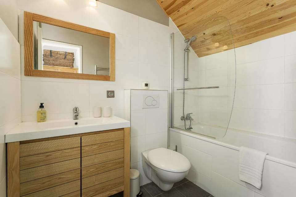 Toilet, Bathroom, Bath
