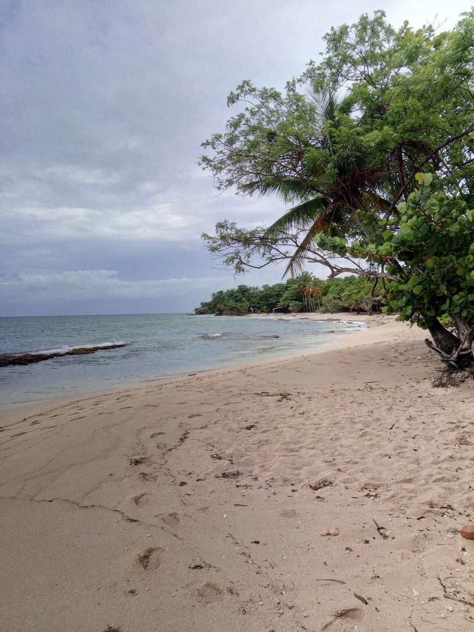 Sea view