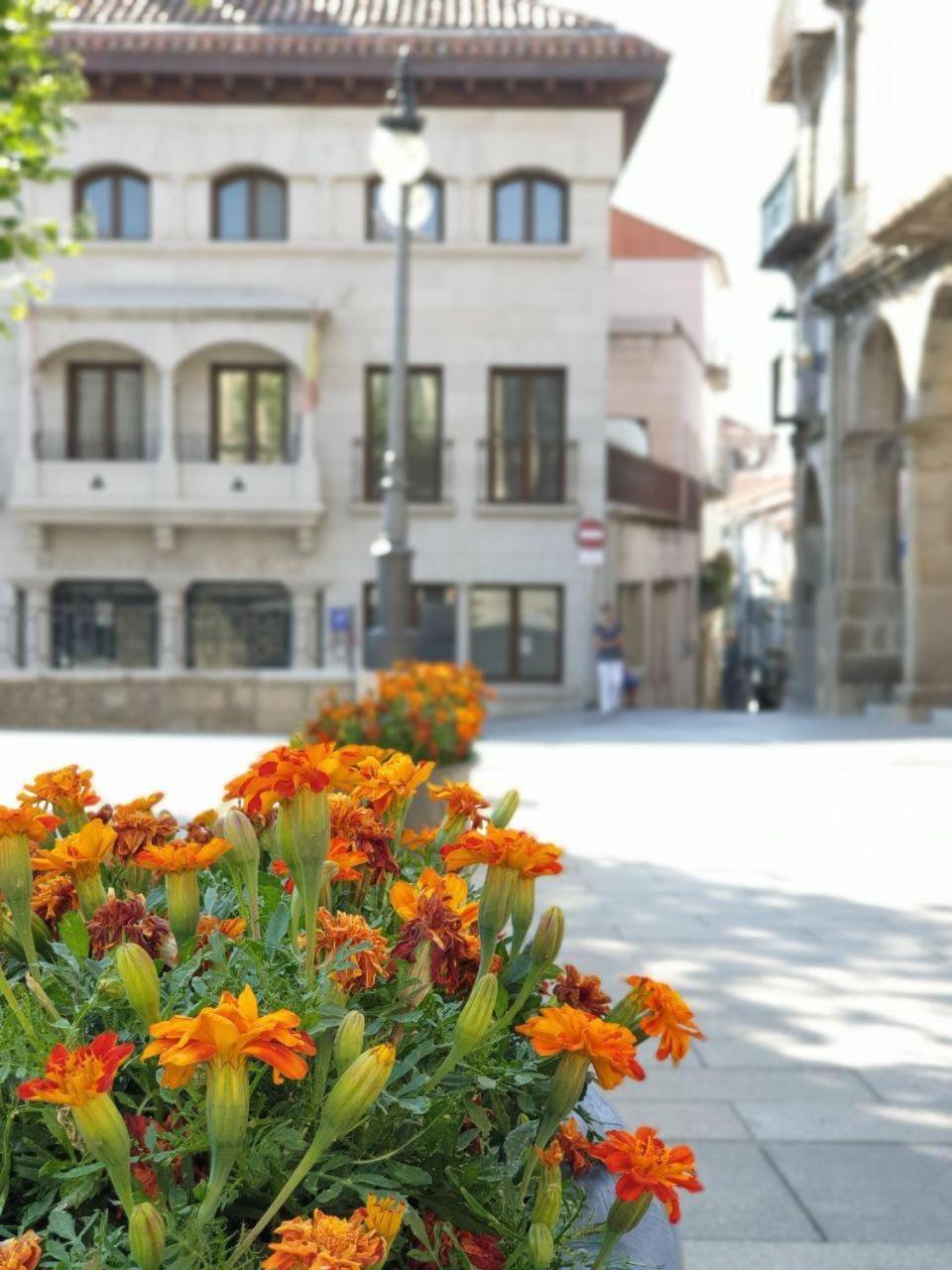Day, Neighbourhood, City view, Street view, Location
