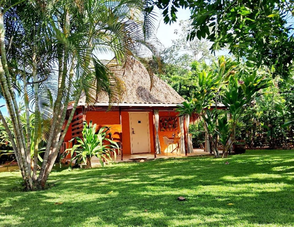 Day, Natural landscape, Garden, Garden view