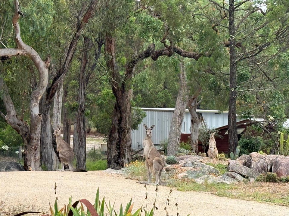 Natural landscape