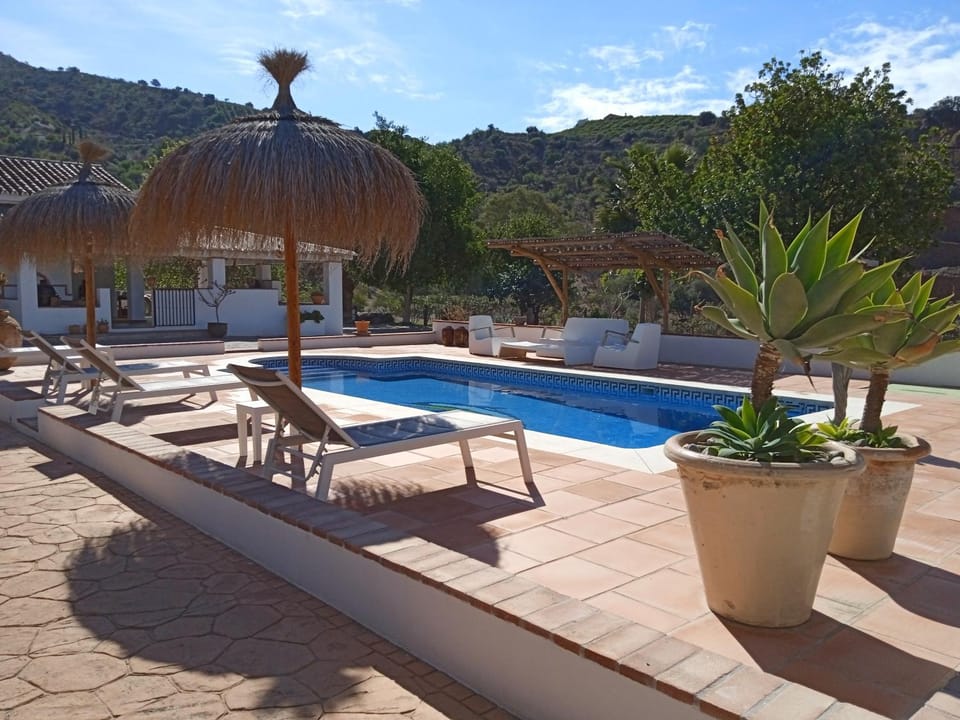 Natural landscape, Mountain view, Pool view, Swimming pool, sunbed