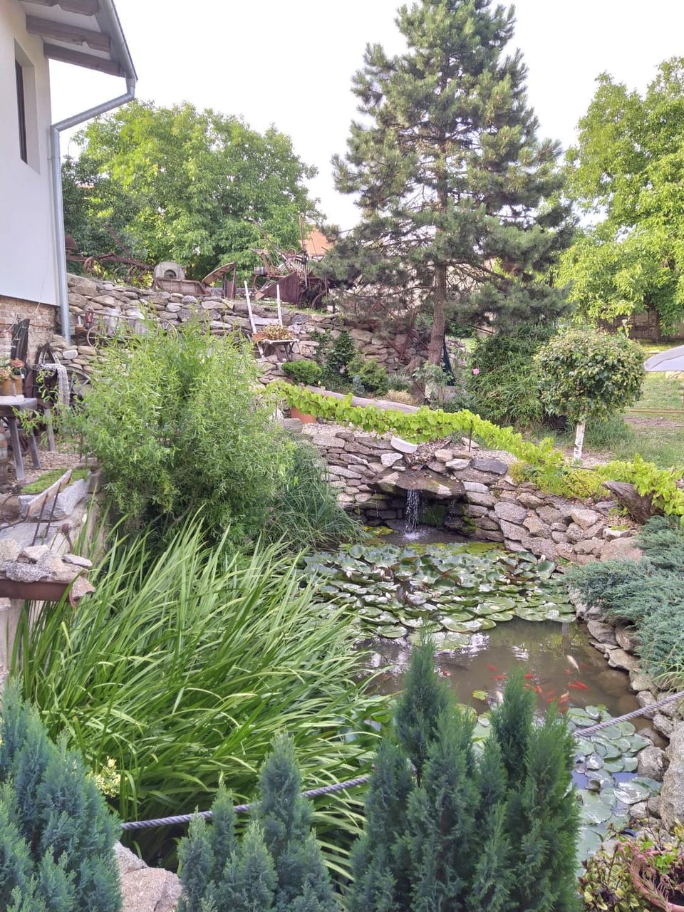 Garden view