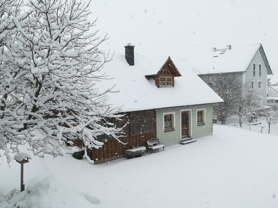 Winter
