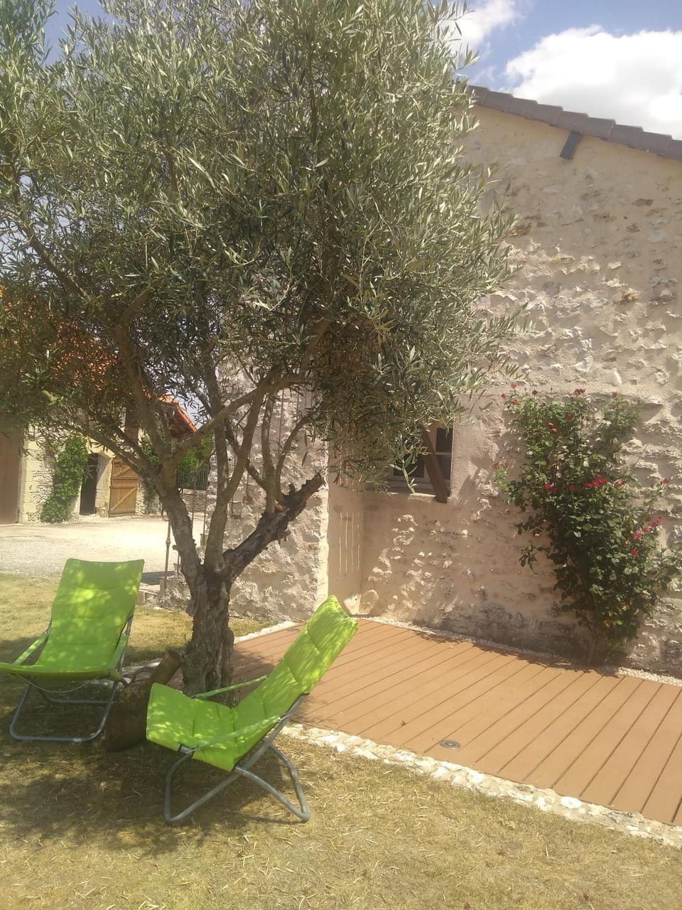 Patio, Day, Garden