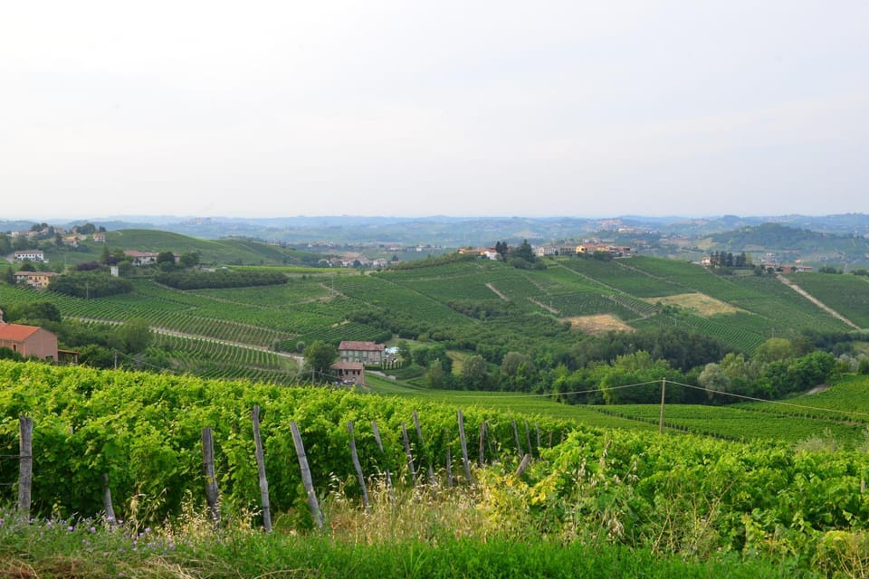 Natural landscape, View (from property/room)