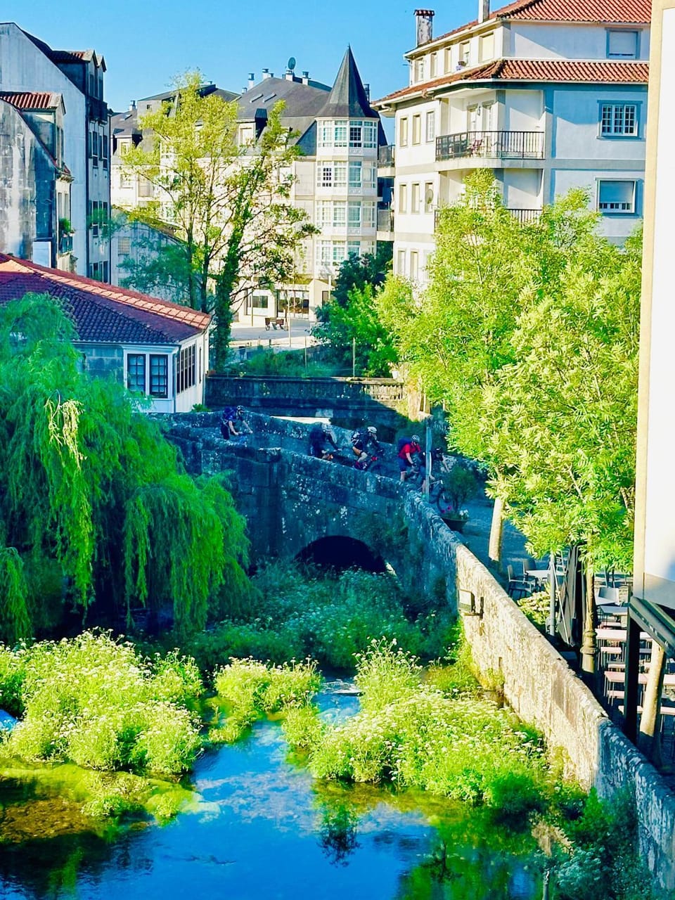 Natural landscape, River view