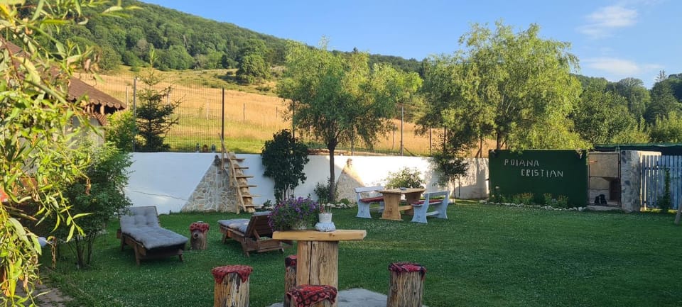 Day, Natural landscape, Garden, Garden view