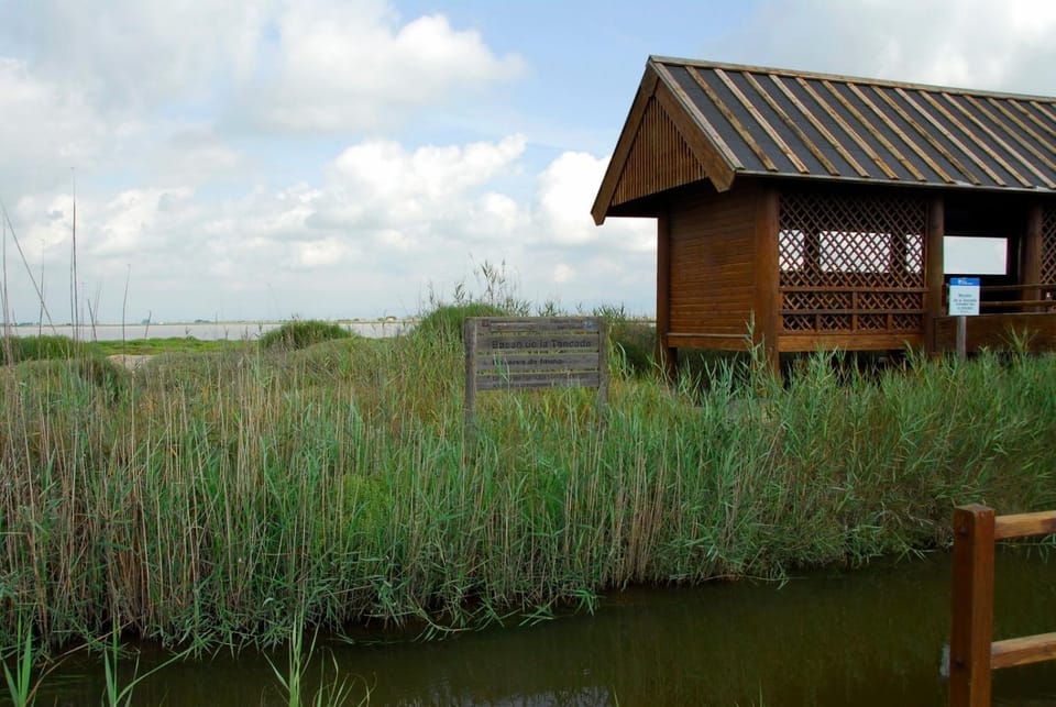 Area and facilities