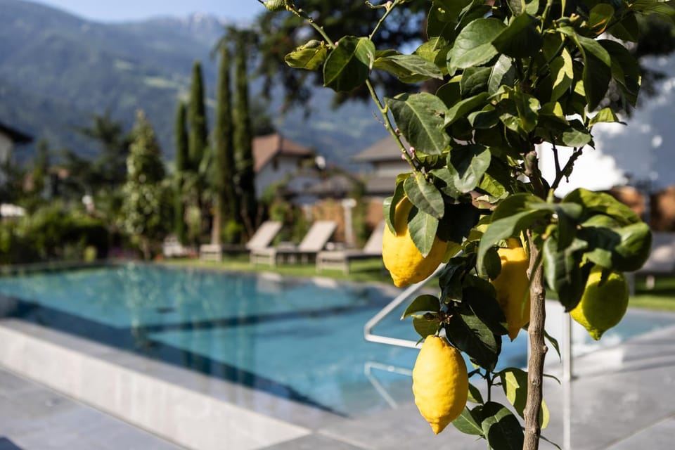 Garden, Swimming pool