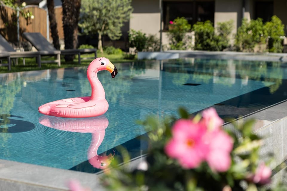 Garden, Swimming pool