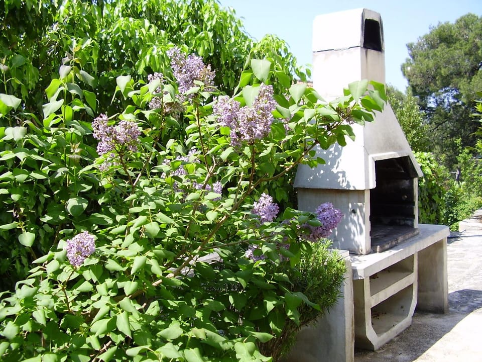 BBQ facilities, Garden