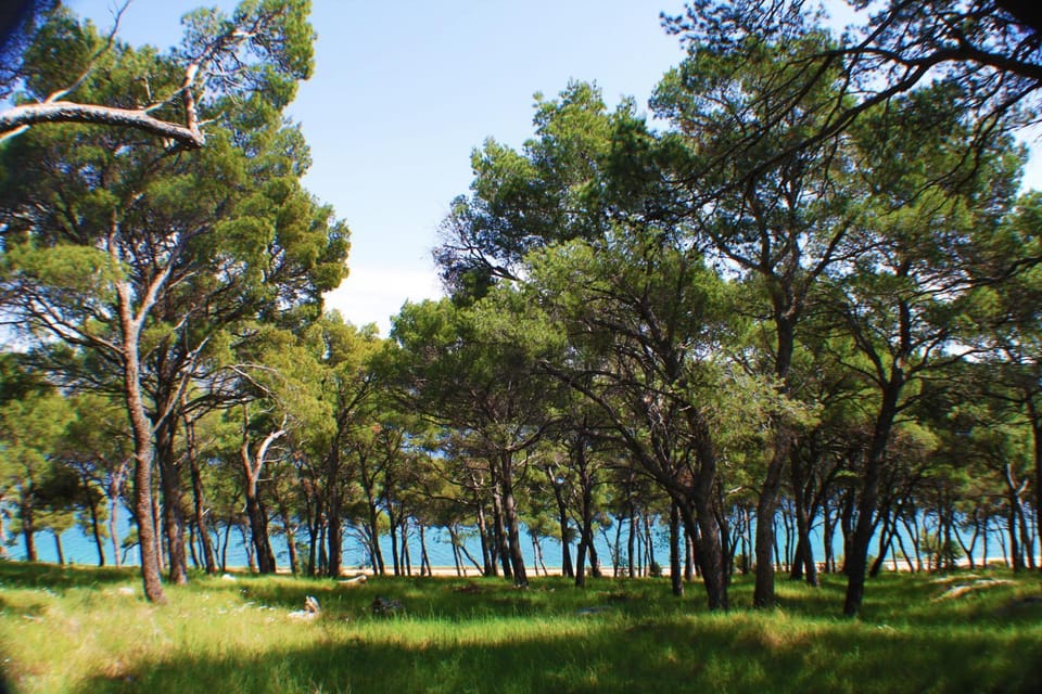 Natural landscape, Garden, Sea view