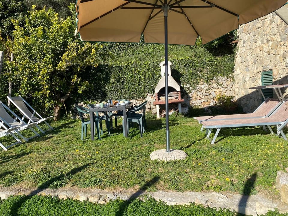Gli ulivi della Monda House in Finale Ligure