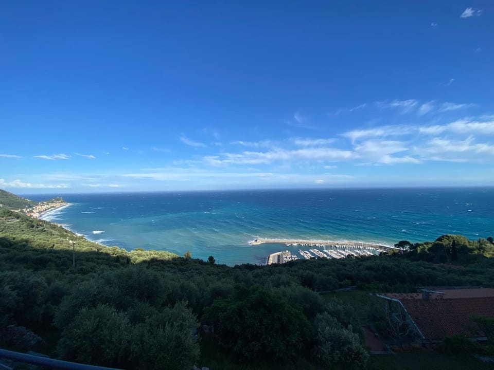Gli ulivi della Monda House in Finale Ligure