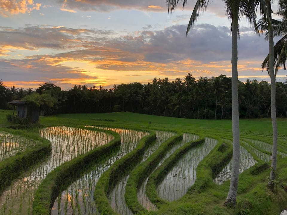 Coco Verde Bali Resort Resort in Kediri