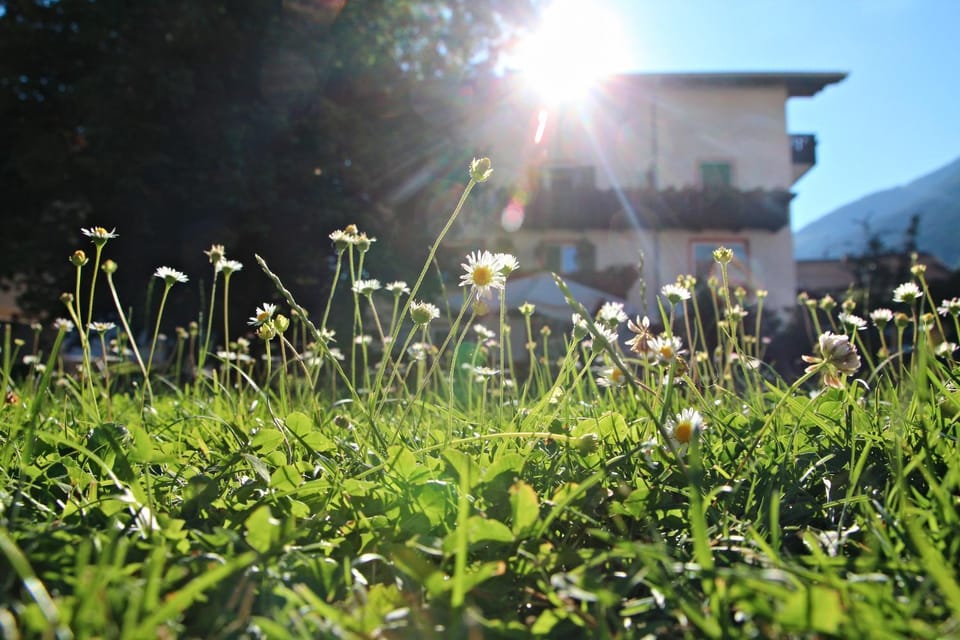 Garden, Garden view