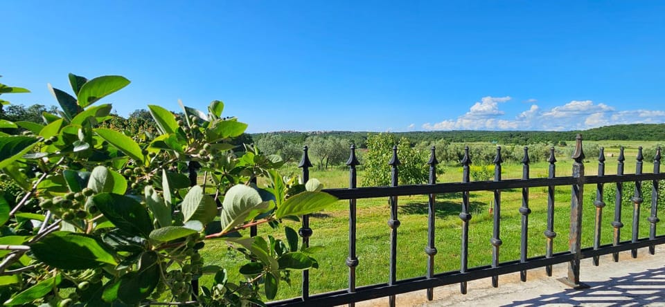 Garden, View (from property/room)