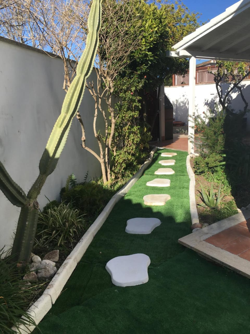 Garden view