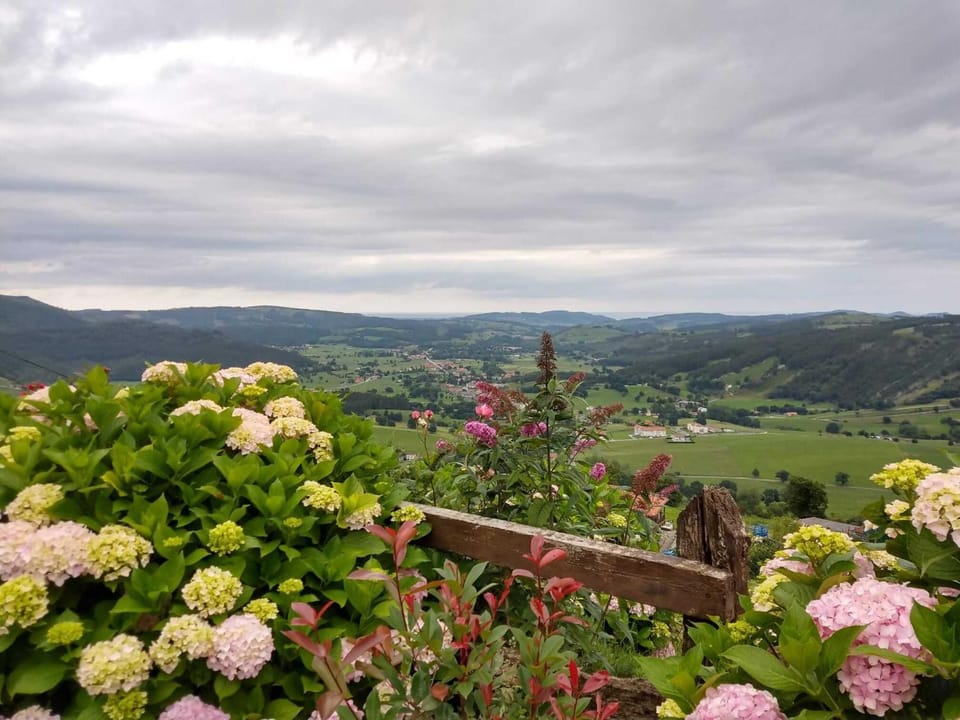 La Casa del Acebal (Solorzano - Cantabria) Country House in Cantabria