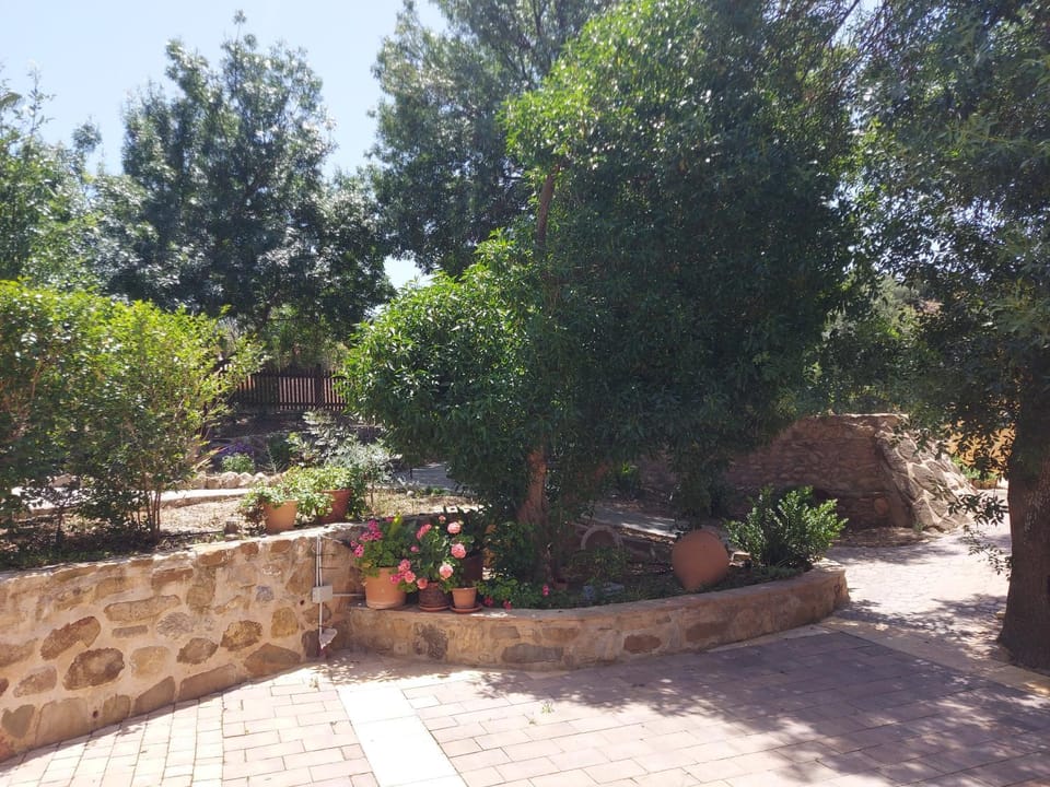 El Molinillo The senses experience House in Andalusia