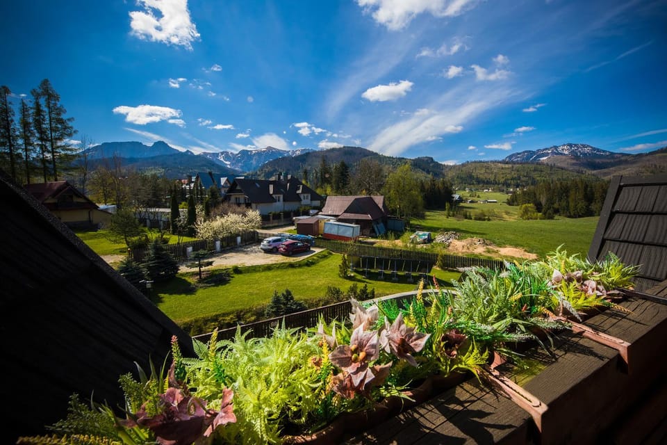 Spring, Neighbourhood, Mountain view