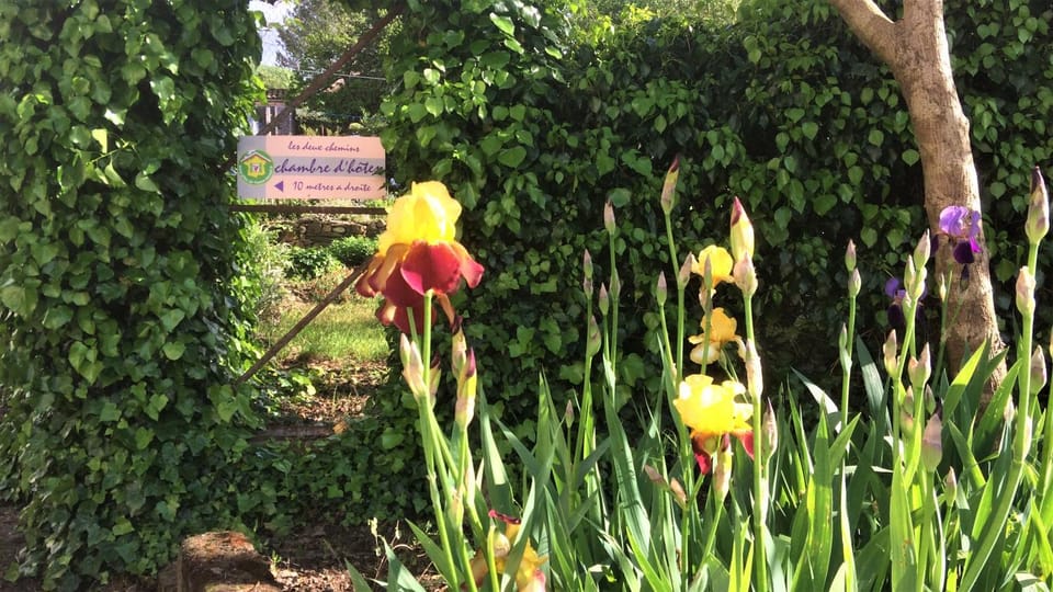 Spring