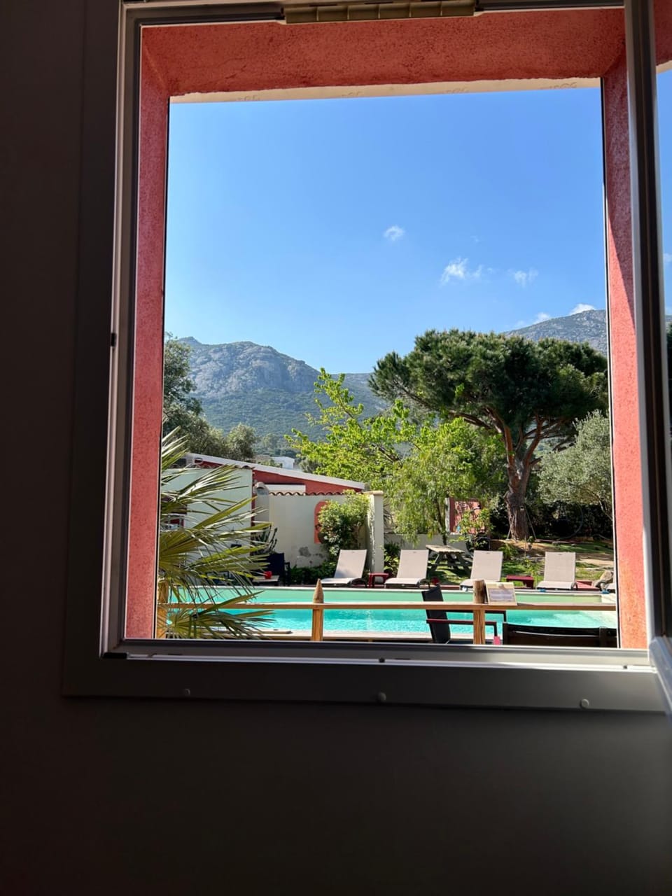 Garden view
