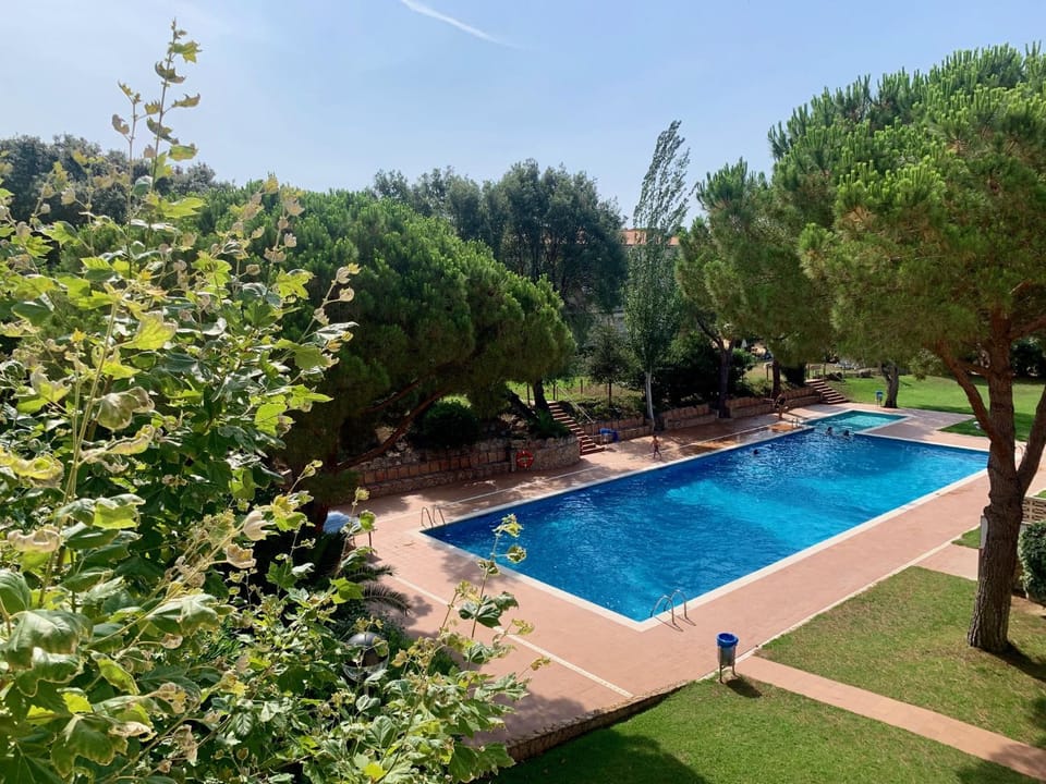 Pool view, Swimming pool