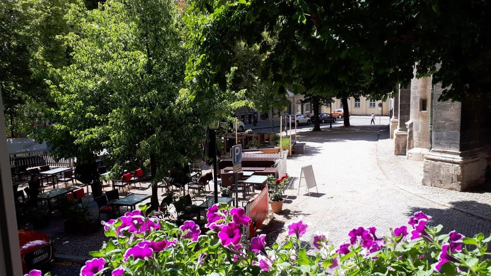 City view, Street view
