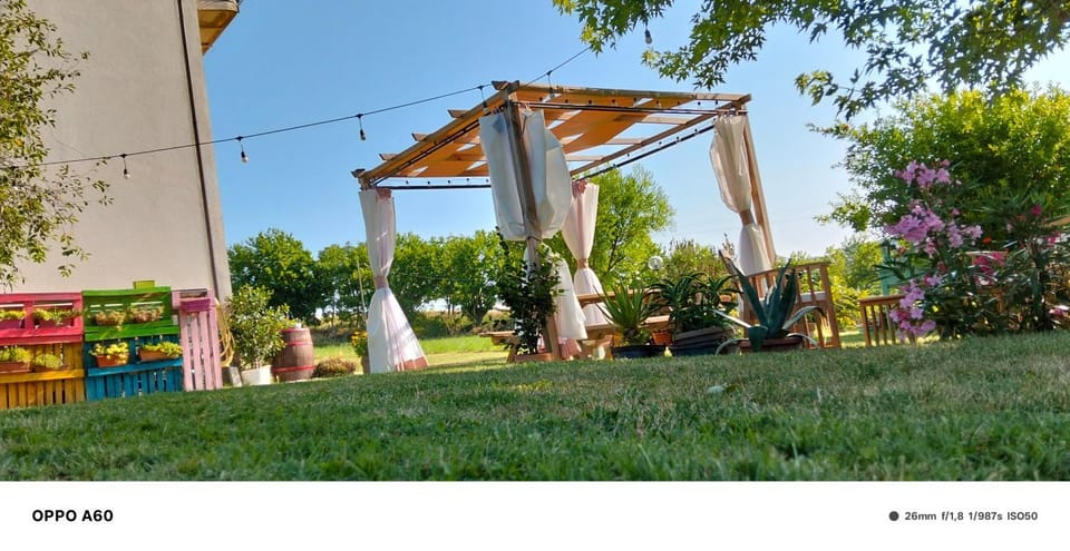 Garden, Garden view