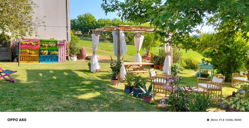 Garden, Garden view