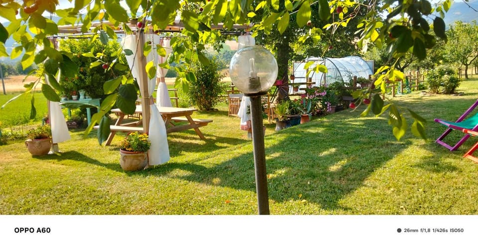 Garden, Garden view