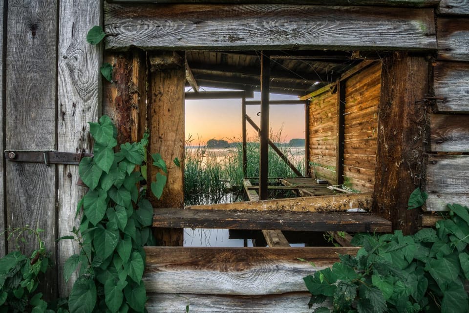 Neighbourhood, Natural landscape