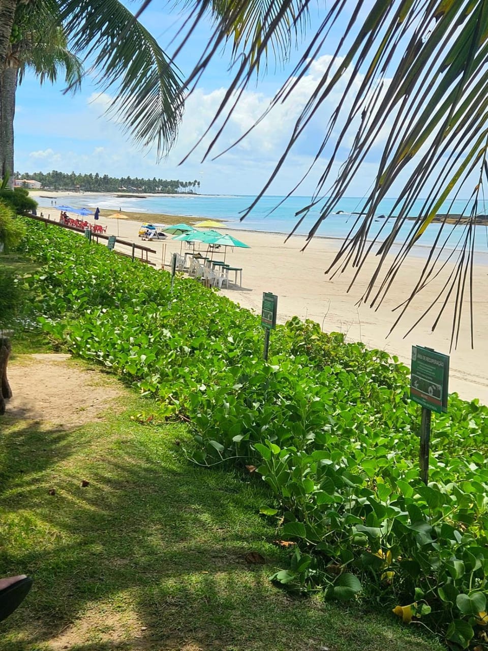 Natural landscape, Garden, Beach, Sea view