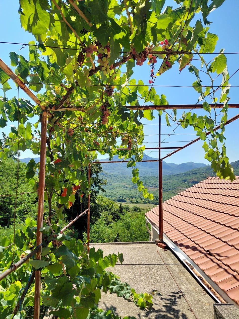 Feel the village Apartment in Podgorica Municipality, Montenegro