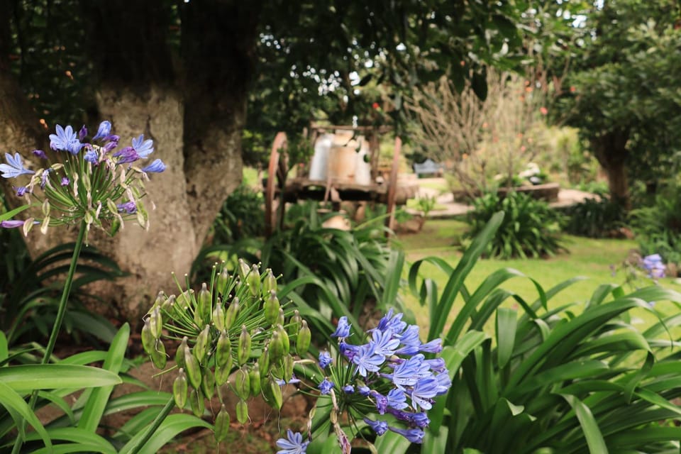 Garden, Garden view