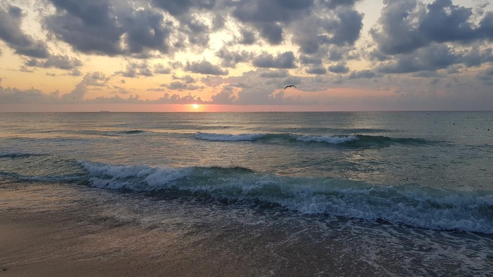 Natural landscape, Beach, Sea view, Sunrise