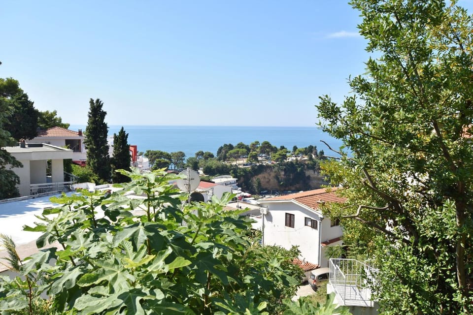 Sea view