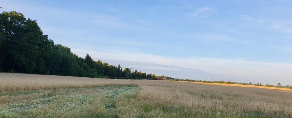 Neighbourhood, Natural landscape, Hiking