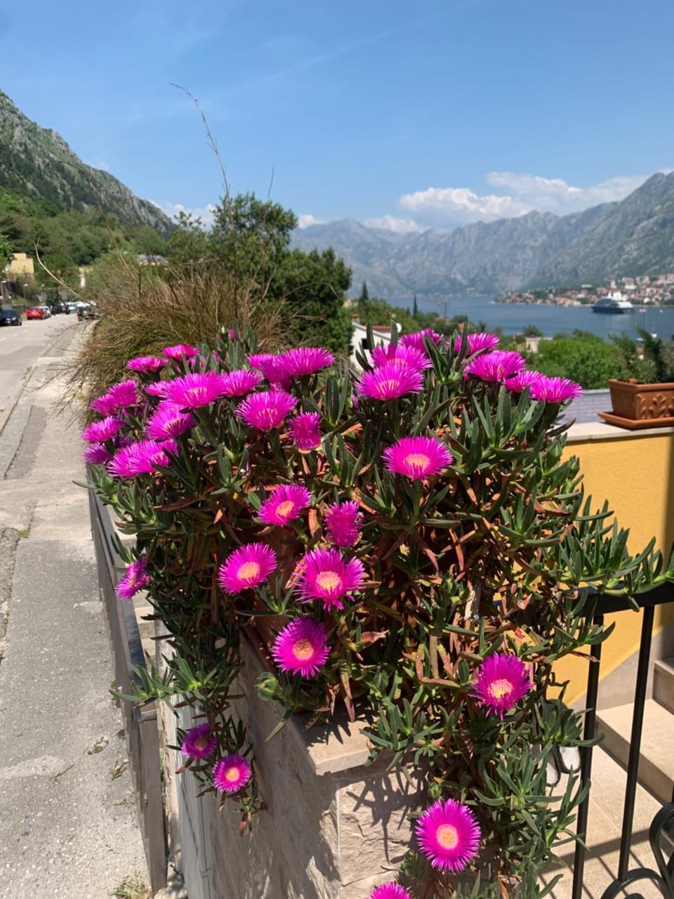 Villa Lili Apartment in Kotor Municipality