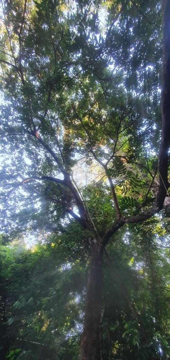Natural landscape