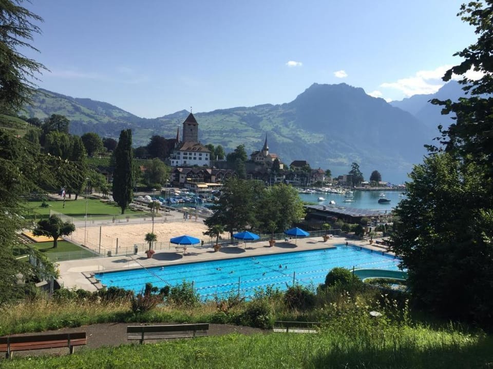 Activities, Beach, Pool view