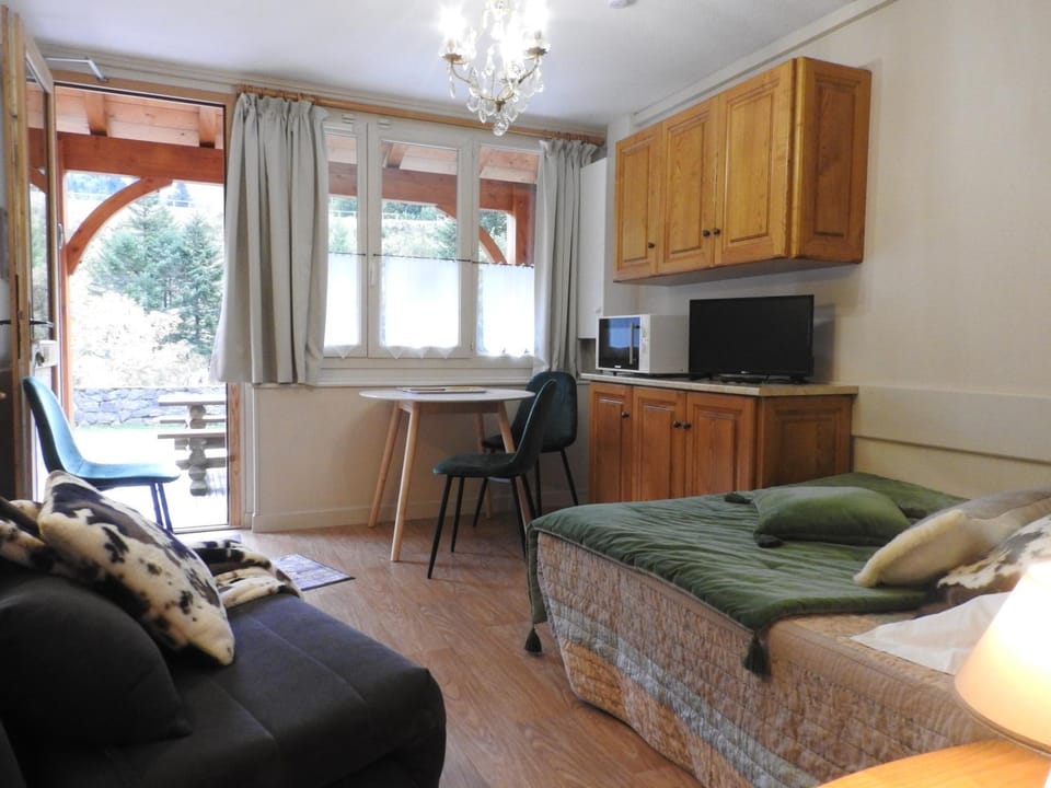 Le Lioran Studio les Myrtilles à 200m des pistes Apartment in Auvergne-Rhône-Alpes