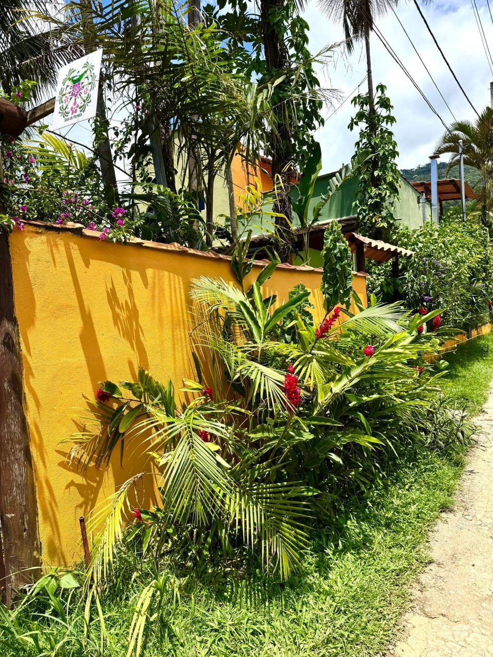 Natural landscape, Garden view, Street view