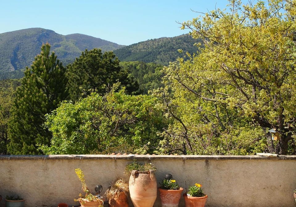 View (from property/room)