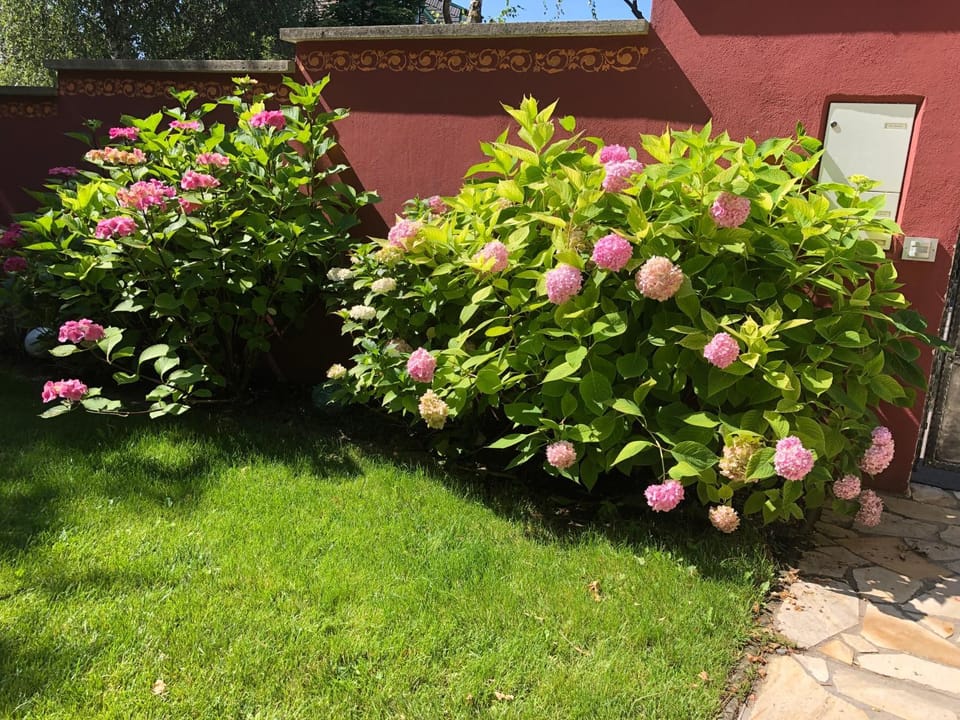 Garden, Garden view